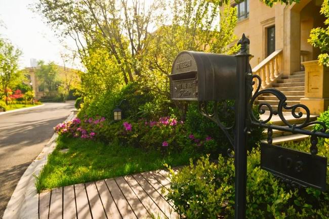 5月的国宝，享受初夏的惬意时光
